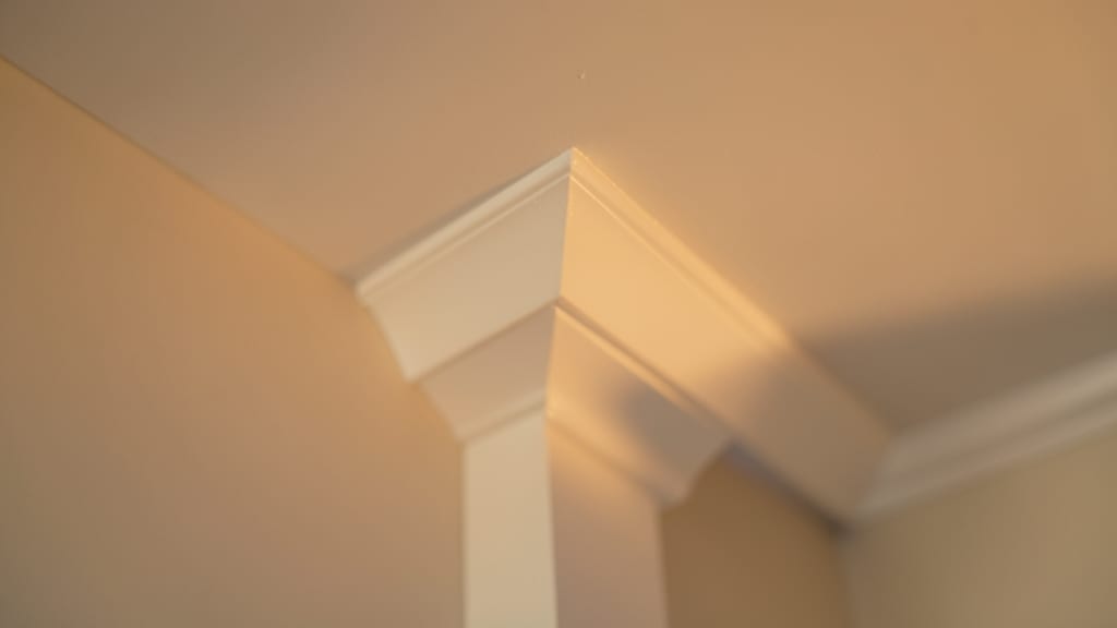 Understanding the Mold Remediation Process for Park Hall
