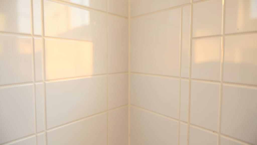 How Proper Ventilation Prevents Mold in Park Hall