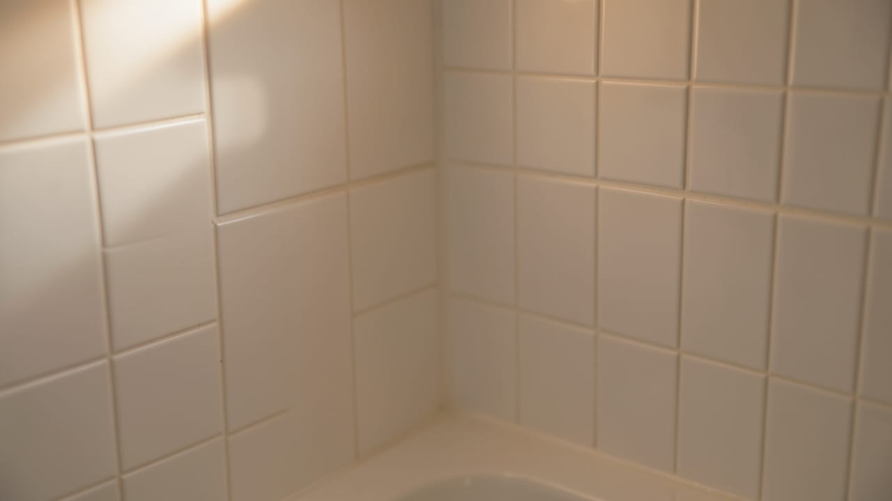 Bathroom Mold Removal in Park Hall, MD in Park Hall